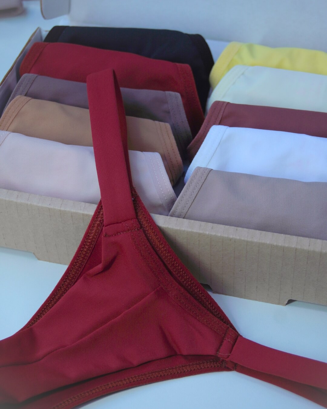 Buy 5, Pay 4 set- Les Crèmes Microfiber Panties